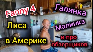 «Лиса в Америке», «Fanny 4», «Галинка Малинка»/ Про ОБЗОРЩИКОВ, «умных» БЛОГЕРОВ