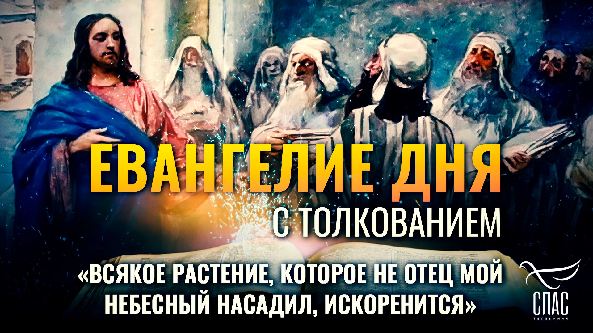 «Всякое растение, которое не Отец Мой Небесный насадил, искоренится» / Евангелие дня