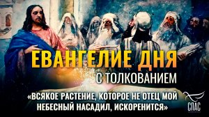 «Всякое растение, которое не Отец Мой Небесный насадил, искоренится» / Евангелие дня
