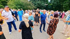 12.07.26г... «Белые Розы, Жёлтые Тюльпаны»...