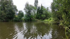 Херабуна на деревенском пруду 2 серия.