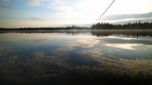 Озеро кипит. Столько рыбы я ещё не ловил. Моя жизнь в старой избушке.