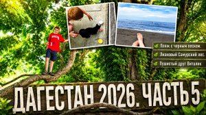 Дагестан 2026. Часть 5. Пляж с черным песком. Лиановый Самурский лес. Пушистый друг Виталик