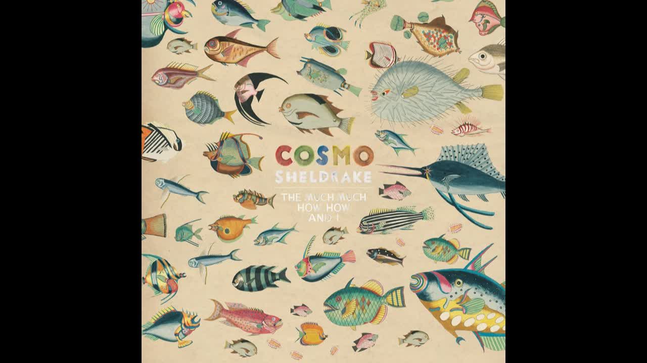 Cosmo Sheldrake - Linger a While