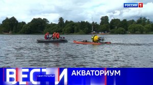 Вести Санкт-Петербург. Выпуск 11.30 от 15.07.2026