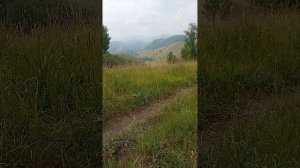 очень сложно