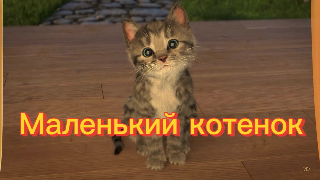 Маленький котенок. Игры с котенком смотреть онлайн