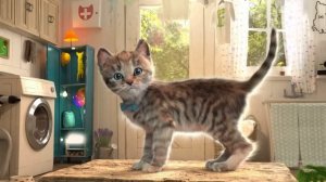 Приключение милого котенка и м