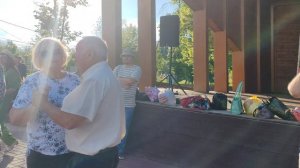 12 июля. Жёлтые тюльпаны...