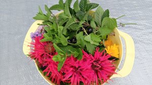Ароматные ТРАВЫ для ЧАЯ 🌼 ☕︎ Заготовка на целый год