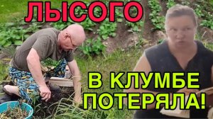 ЛЫСОГО В КЛУМБЕ ПОТЕРЯЛА. ОЛЬГА ИЗ ЗАУРАЛЬЯ. ОБЗОР.