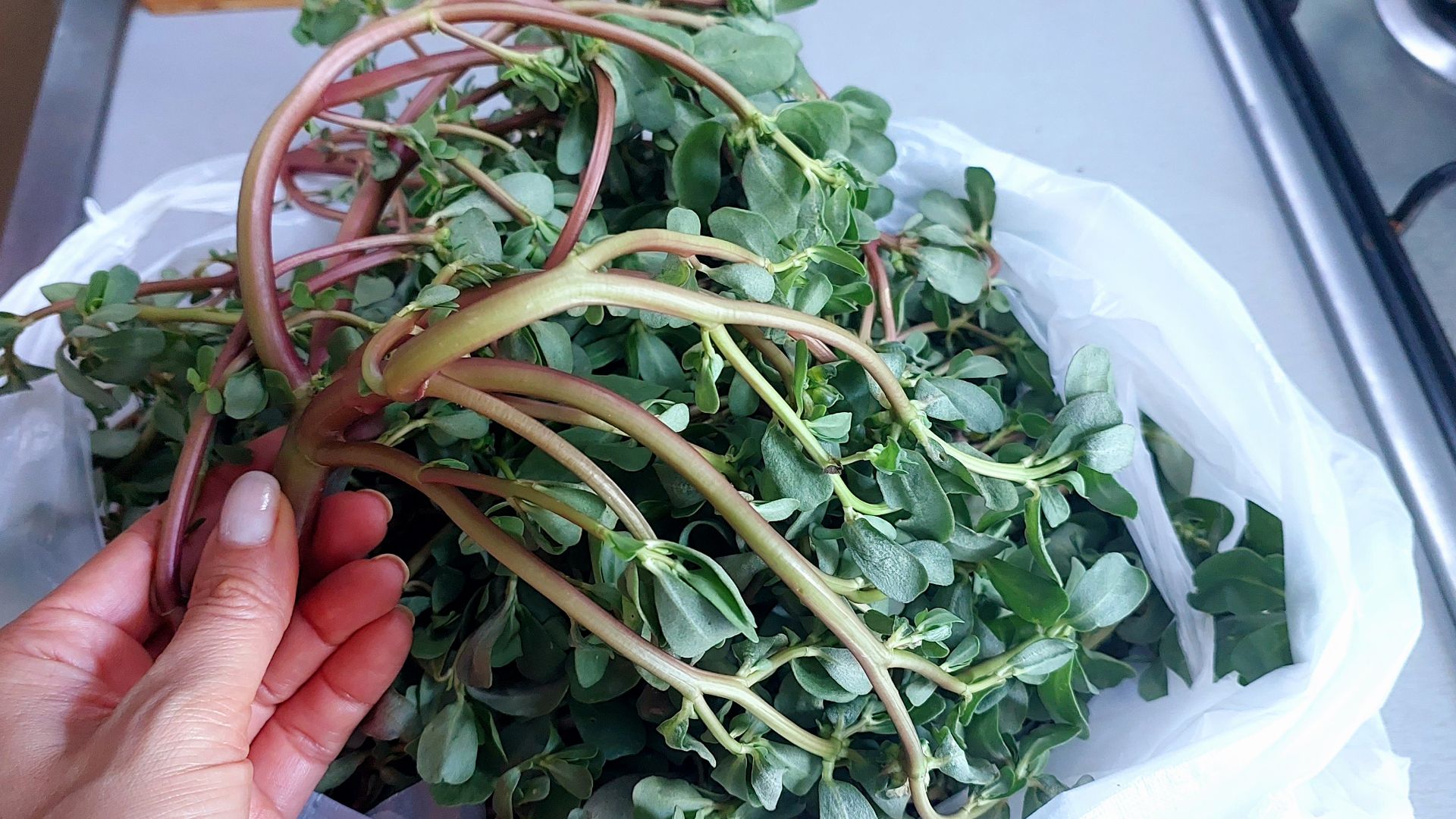 ПОРТУЛАК вкуснее чем мясо! Пальчики оближешь! Соседи в Турции научили меня так готовить сорняк смотреть онлайн