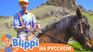 Блиппи посещает ранчо _ Блиппи на Русском _ Изучай этот Мир вместе с Блиппи _ Blippi