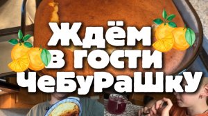 Ждём в гости ЧеБуРаШкУ или апельсиновое безумие