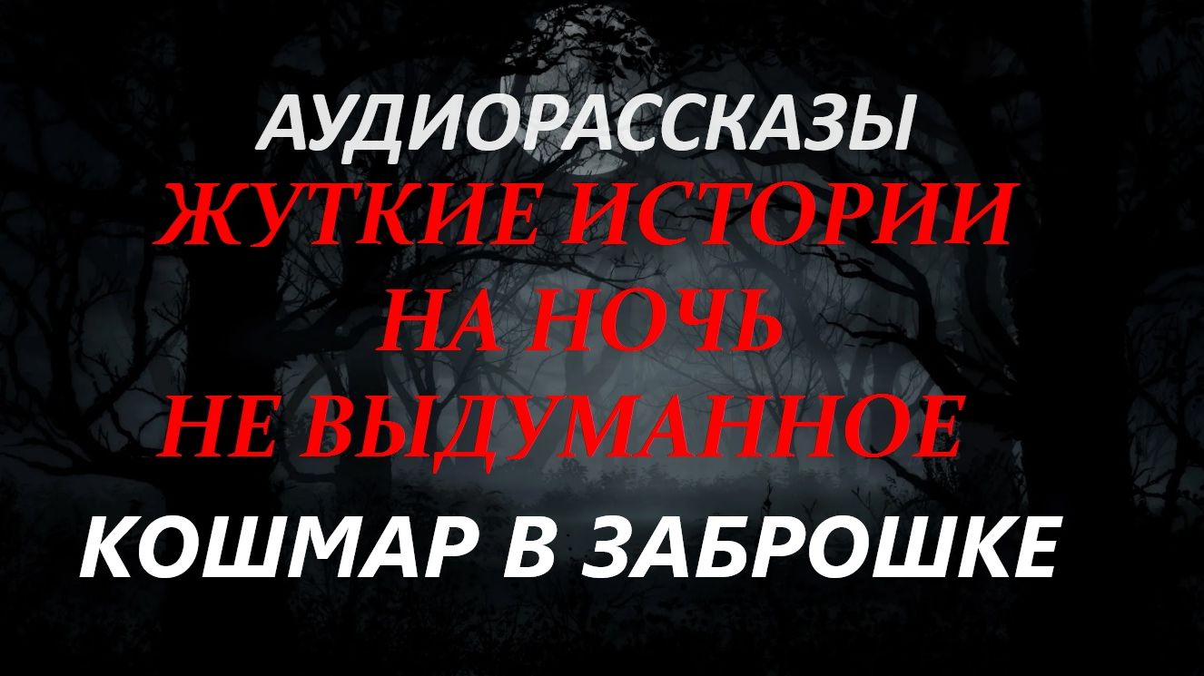 СТРАШНЫЕ РАССКАЗЫ НА НОЧЬ-КОШМАР В ЗАБРОШКЕ