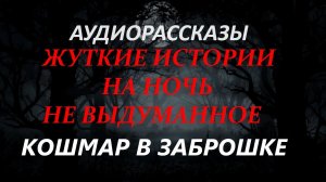 СТРАШНЫЕ РАССКАЗЫ НА НОЧЬ-КОШМАР В ЗАБРОШКЕ