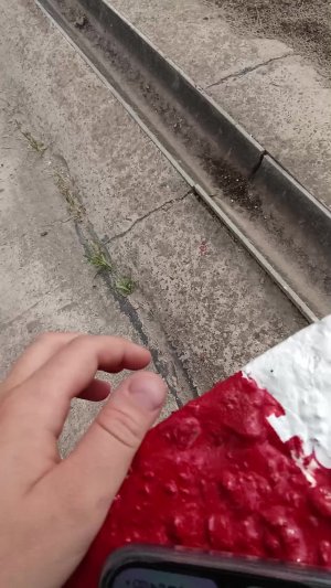 полю номер телефона друга за 2 зрителя