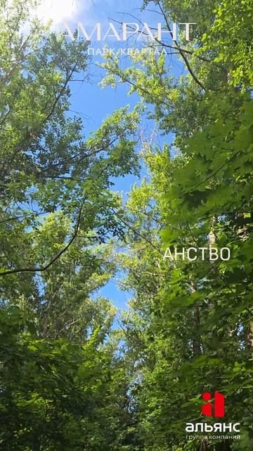 ЖК 