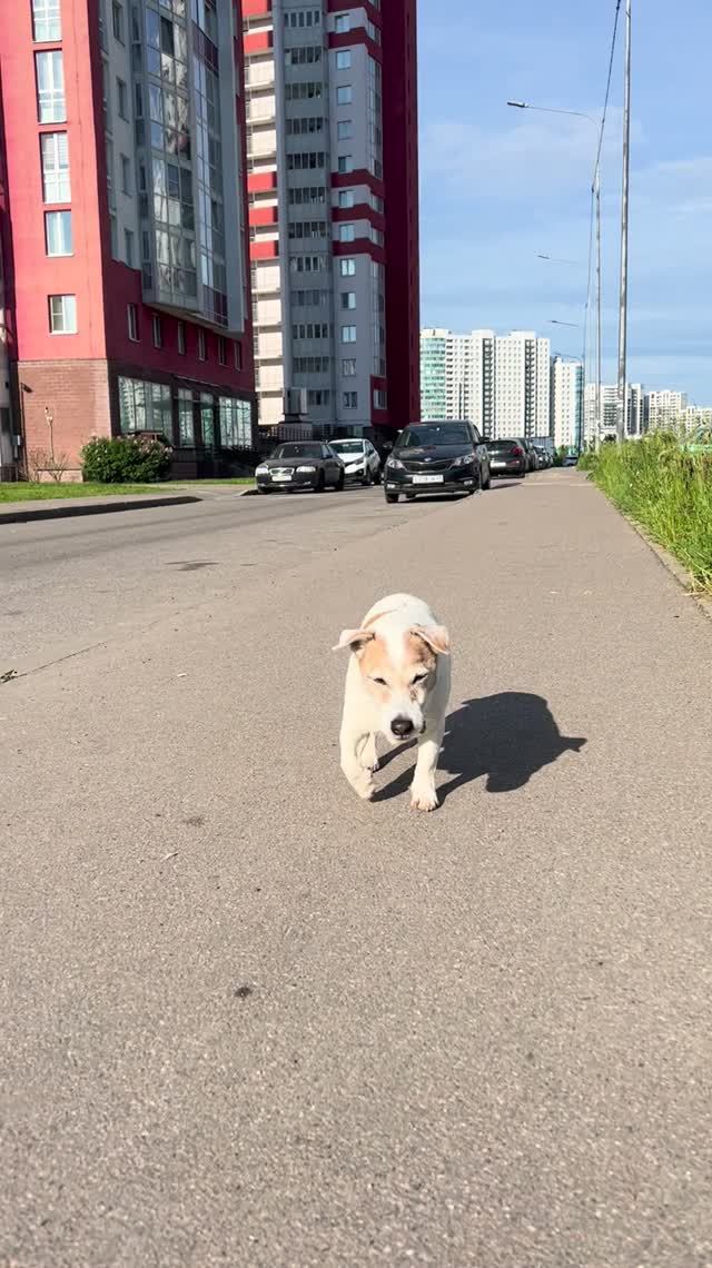 Наши праздники и будни