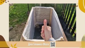 Умные грядки. Мой Загородный (242)