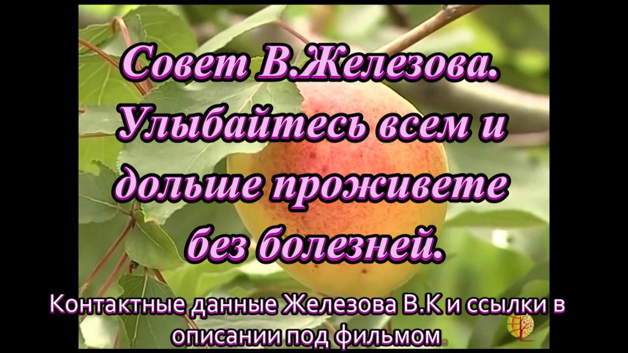 Совет В.Железова. Улыбайтесь всем и дольше проживете без болезней.