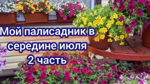 Продолжение. Палисадник в июле.