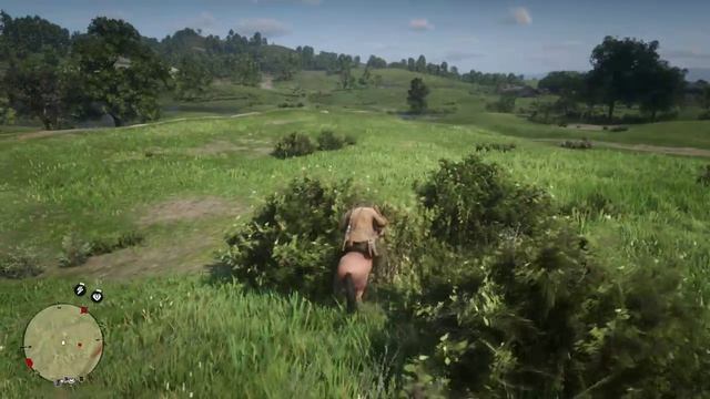Red Dead Redemption 2 2026-07-14 12-50-23