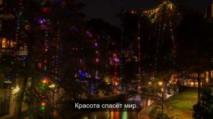 «Цитаты со смыслом на фоне эстетики»