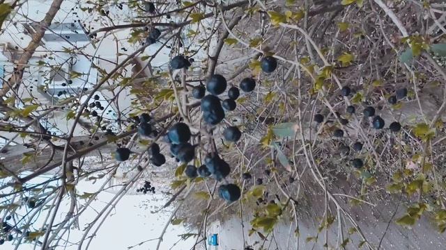 Один из дней города Евпатории | 12 апреля 2022 год | Крым ХАН БАТОН XAH 6ATOH | VID_20220412_143033