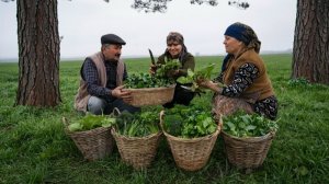 Дикорастущие съедобные растения. Традиционная деревенская кухня Азербайджана
