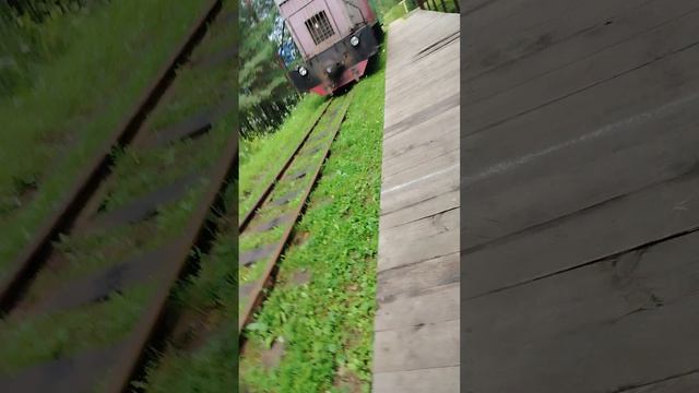 Поезд ТУ6-2896 с Пригородным поездом Ельничная-Синячих
(АУЖД) смотреть онлайн