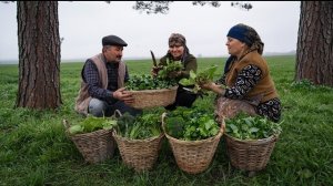 Дикорастущие съедобные растения – традиционная деревенская кухня 🌱🌾