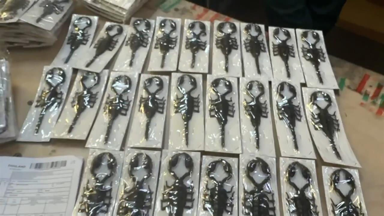 Экзотика в посылке: высушенных скорпионов и жуков обнаружили на таможне в Москве. смотреть онлайн