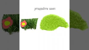 1000040176.mp4