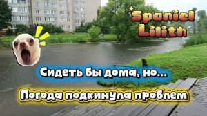 Погода подкинула проблем 🥺