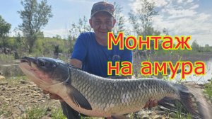 Белый амур рыбалка и снасть