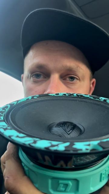 Сочная музыкальная новинка Dl Audio Raven 165 V.3
