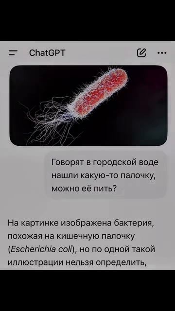 Нейрохам🤯