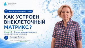 Урок 3. Внеклеточный матрикс как основа жизнедеятельности многоклеточного организма / Филатова Г.А.