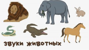 Как говорят животные Звуки животных для детей Развивашки для самых маленьких