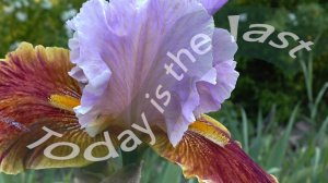 Today is the last