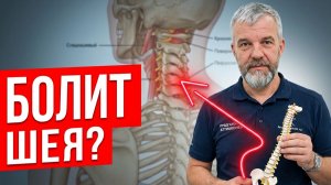 Укачивает в машине или лифте? Почему болит шея: связь с вестибулярной системой | Метод P-DTR