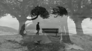 I  will Wear Black ( Я буду носить чёрное) & Maria Daines & Harmonica Tombo Unichromatic