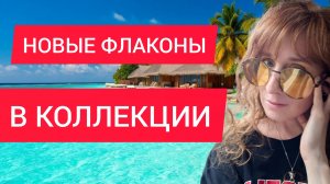 НОВЫЕ АРОМАТЫ В КОЛЛЕКЦИИ/ БЮДЖЕТНЫЕ АРОМАТЫ, КОТОРЫЕ ПАХНУТ НА МИЛЛИОН