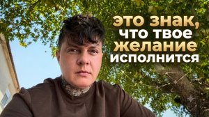 Это знак, что твое желание исполнится