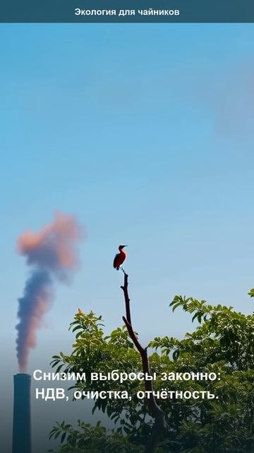 Между дымом и чистым небом — один проект