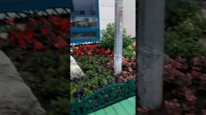 ВЕЧЕРНИЙ ВЛОГ