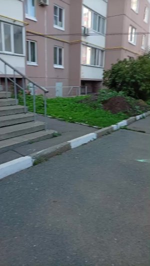 просто стрим который стрим