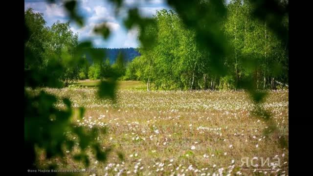 16 июля - Мокий и Марк, Стожары. Народные приметы и традиции