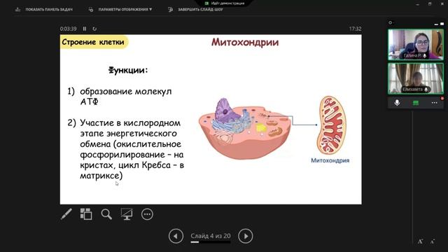 Рочева Галина